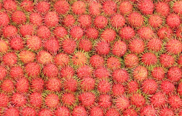 Tropical Fruits Rambutan — Stock Photo, Image