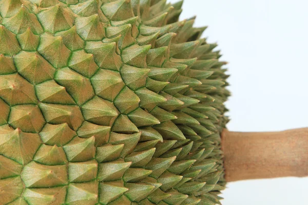 Thorns of durian fruit — Stock Photo, Image