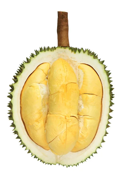 Durian frukt isolerad på vit bakgrund — Stockfoto