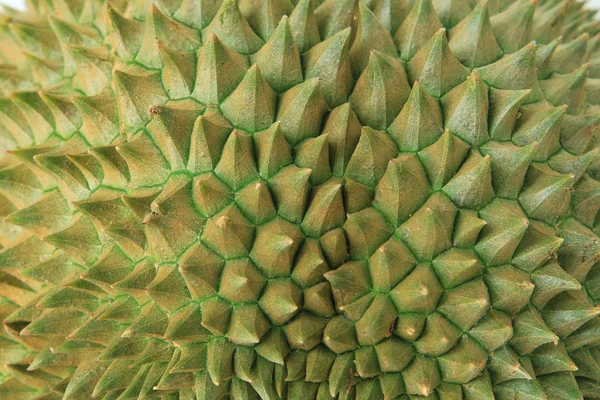 Thorns of durian fruit — Stock Photo, Image