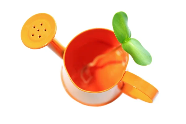 Watering can and sunflower sprout — Stock Photo, Image