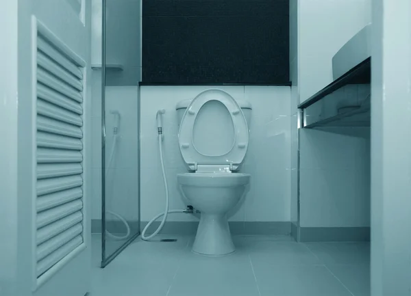 Witte toiletpot in een badkamer — Stockfoto