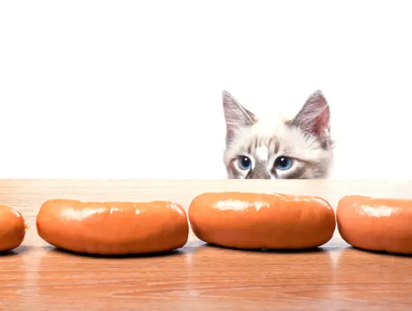 Cat tries to steal a sausage — Stock Photo, Image