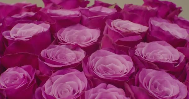 Bonito fundo floral festivo. buquê de rosas florescendo de perto — Vídeo de Stock