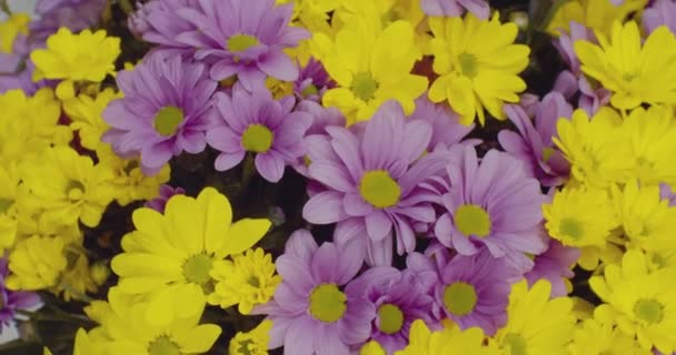 Святковий фон. Букет красивих яскравих квітів. впритул — стокове відео