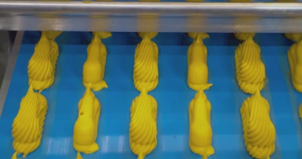 Modern gıda üretimi. Özel bir makine kalın kremadan pasta yapar. Bitmiş pastalar konveyör bandı boyunca yavaşça hareket ediyor. Teknolojik bir sürecin yakın plan çekimleri — Stok video