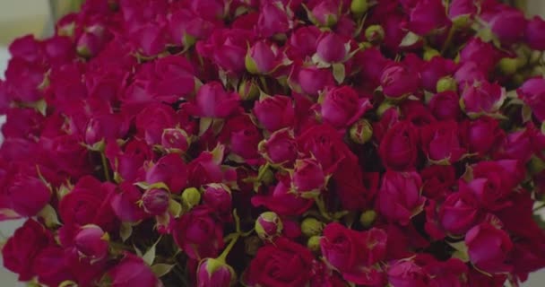 Festlicher Blumenhintergrund. Strauß schöner Rosen aus nächster Nähe — Stockvideo