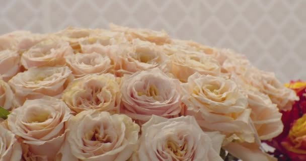お祝いの花の背景。美しいバラの花束を閉じます — ストック動画