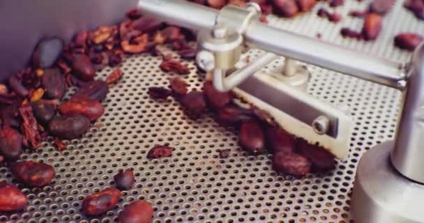 Producción industrial de alimentos.Granos de café oscuros y aromáticos en la moderna máquina de tostado.close — Vídeo de stock
