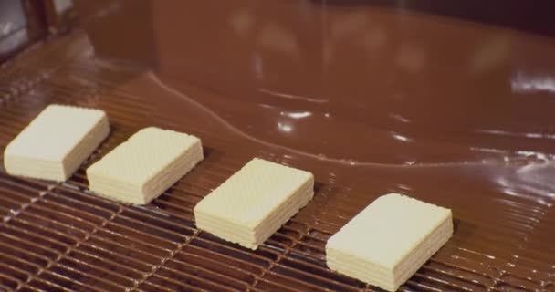 Σύγχρονος εξοπλισμός για βιομηχανική παραγωγή τροφίμων. ένα ρεύμα ζεστής σοκολάτας ρίχνει τις βάφλες, οι οποίες κινούνται κατά μήκος του ιμάντα μεταφοράς. τεχνολογική διαδικασία κοντά — Αρχείο Βίντεο