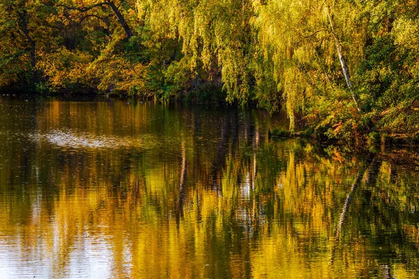 Niesamowity Jesienny Krajobraz Kolorowymi Liśćmi — Zdjęcie stockowe