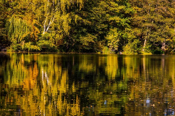 Niesamowity Jesienny Krajobraz Kolorowymi Liśćmi — Zdjęcie stockowe