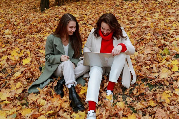 Trabalhando Laptop Parque Natureza — Fotografia de Stock