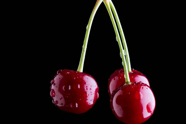 Cerejas Suculentas Saborosas Gotas Água — Fotografia de Stock