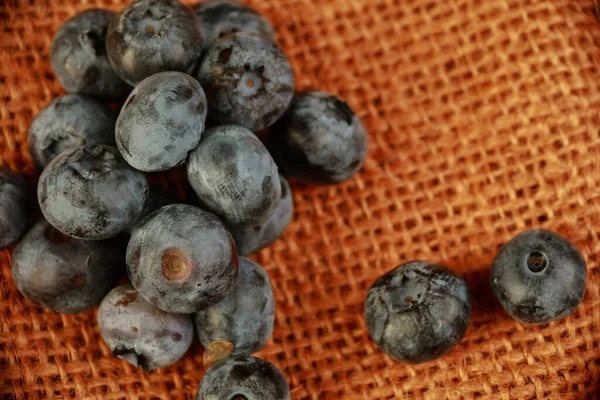 Fresh Blueberries Studio — Stockfoto