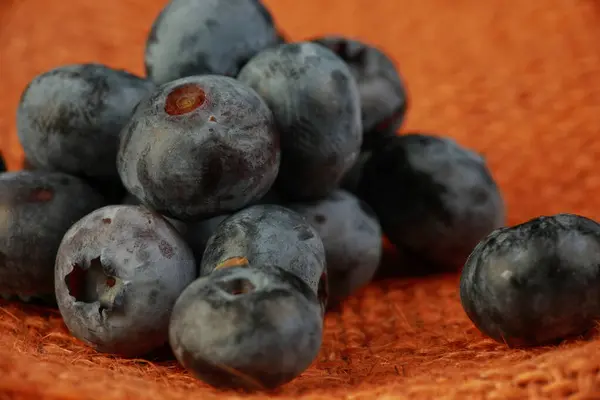 Fresh Blueberries Studio — Stock Photo, Image