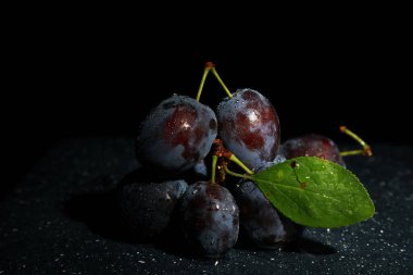 Siyah arkaplanda daldaki erikler