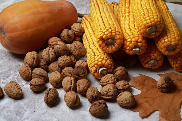 Preparativos Otoño Para Invierno —  Fotos de Stock