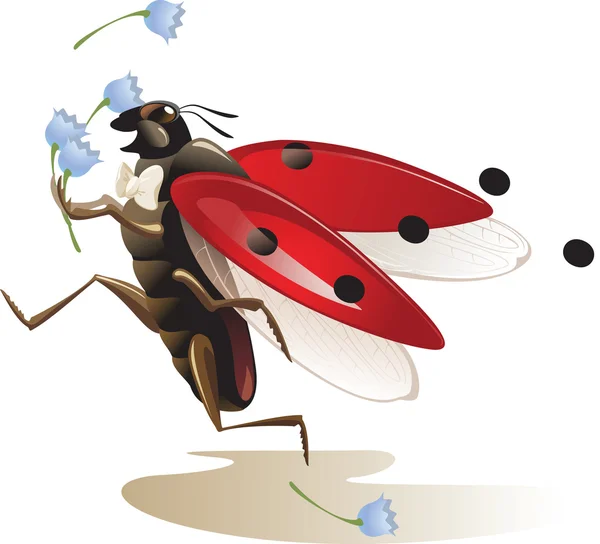 Lieveheersbeestje — Stockvector
