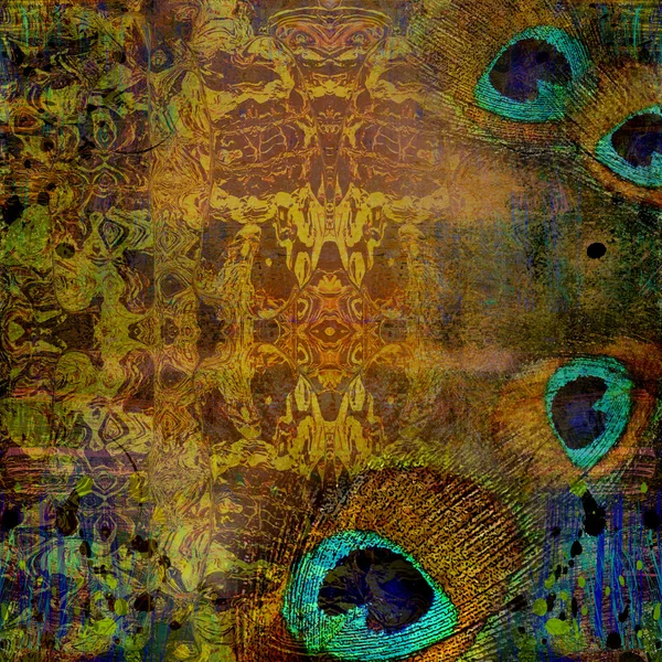 Gele achtergrond, veer peacock — Stockfoto