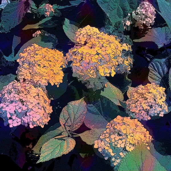 Fondo floral abstracto — Foto de Stock
