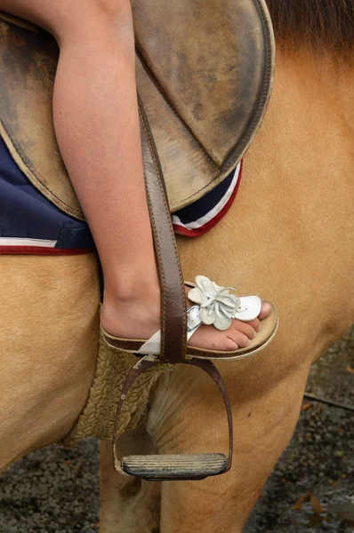 On a Pony — Stock Photo, Image