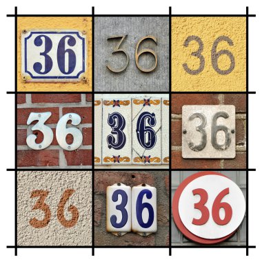Sayı 36