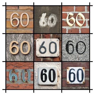 Sayıları 60