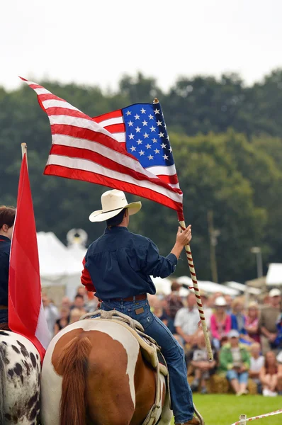 Flags and horses — Stock Photo, Image