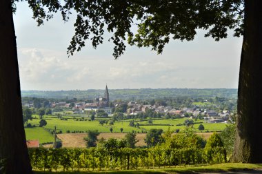AUBEL görüntüleme