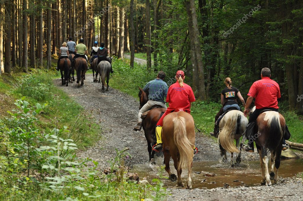 Horse riding Stock Editorial Photo © defotoberg 13903384