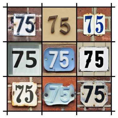 sayıları 75