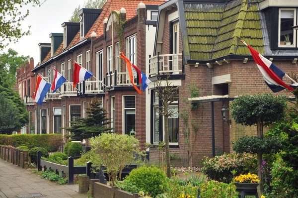 Houses with flag — Stock Photo, Image