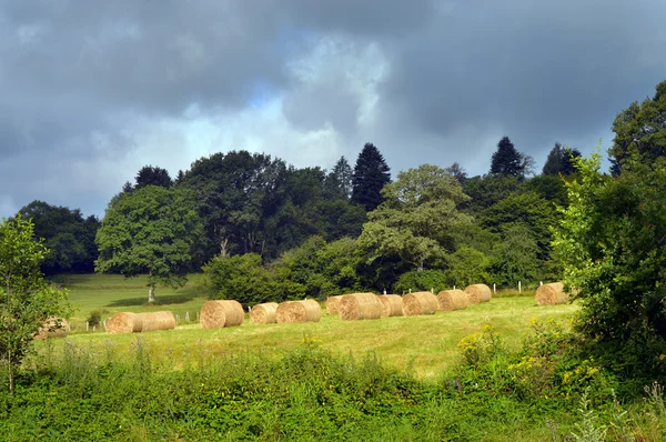 Paisagem de Ardenas — Fotografia de Stock