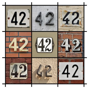 Sayı 42