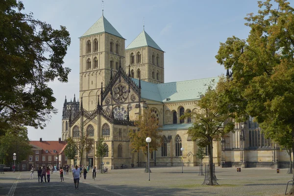 Munster Cathedral — Stock Photo, Image