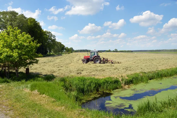 Holländska landskap — Stockfoto