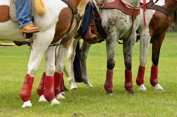 Sehnenstiefel — Stockfoto