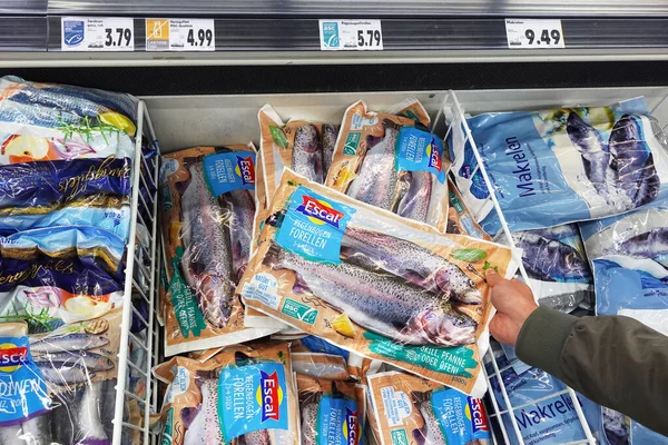 ドイツ 2021年9月 Kaufland Hypermarket カウフランド のエスカルブランドの冷凍魚 パッケージ化された海洋管理協議会 Msc エコラベルで満たされた冷凍庫 — ストック写真