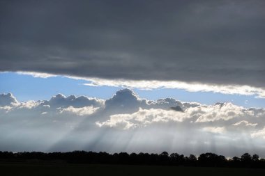 Gök gürültülü bulutlar ve ışık bir ormanın sınırlarını aşıyor. 