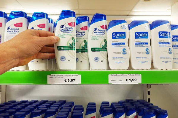 Netherlands June 2022 Specialized Shampoos Shop Head Shoulders Sanex Brand — Stockfoto