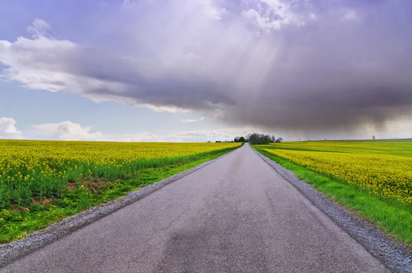 Platteland weg — Stockfoto