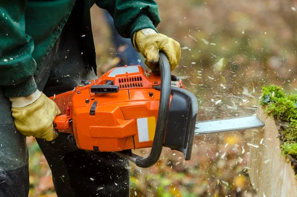 Chainsaw — Stock Photo, Image