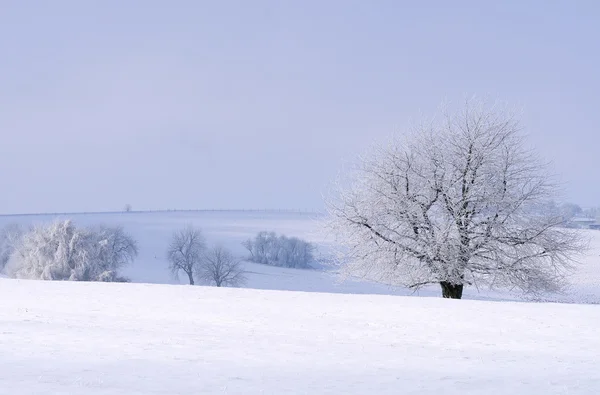 White countryside Stock Photo