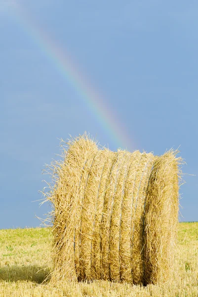 Arco iris — Foto de Stock