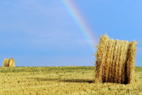 Regenboog — Stockfoto