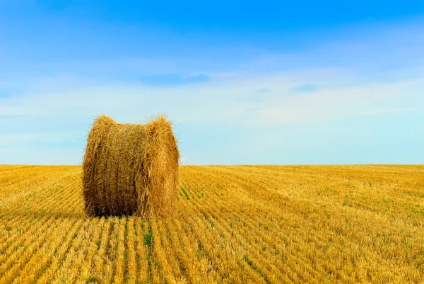 Straw bale — Stock Photo, Image