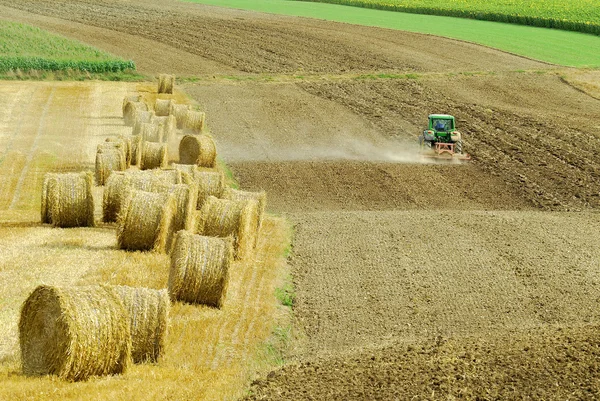 Abricultural scen — Stockfoto