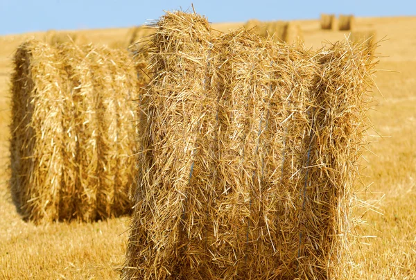 Straw balls — Stock Photo, Image