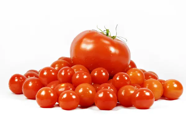 Tomates — Foto de Stock